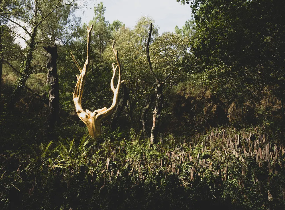 Lac Au Duc: Goldener Baum von Broceliande