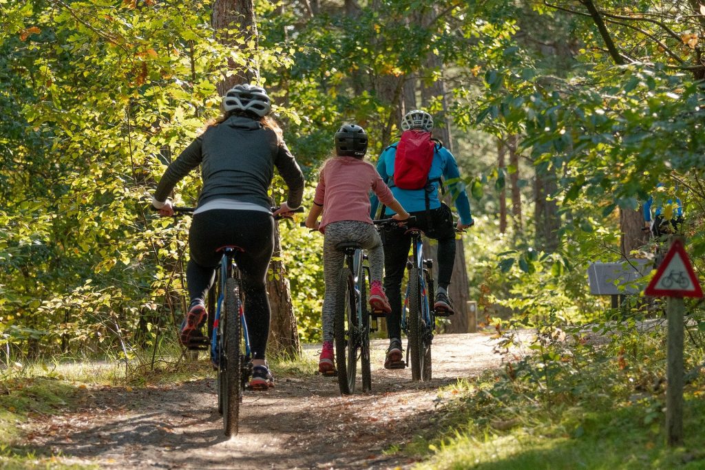 Camping Du Lac à Taupont : Groene fietsroute