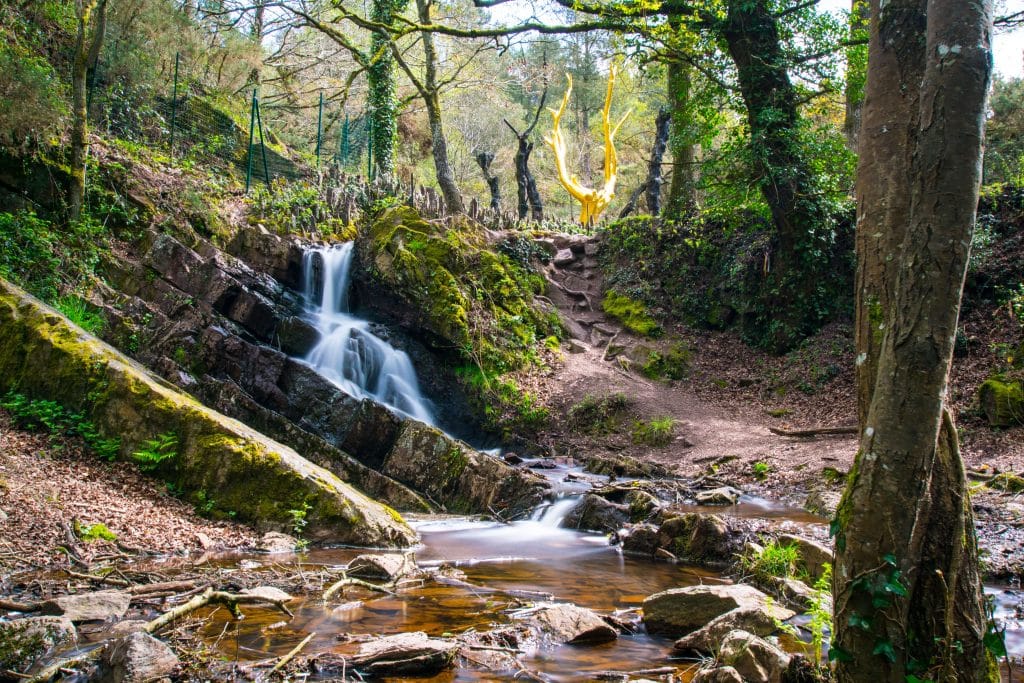 Foret de Brocéliande près de camping