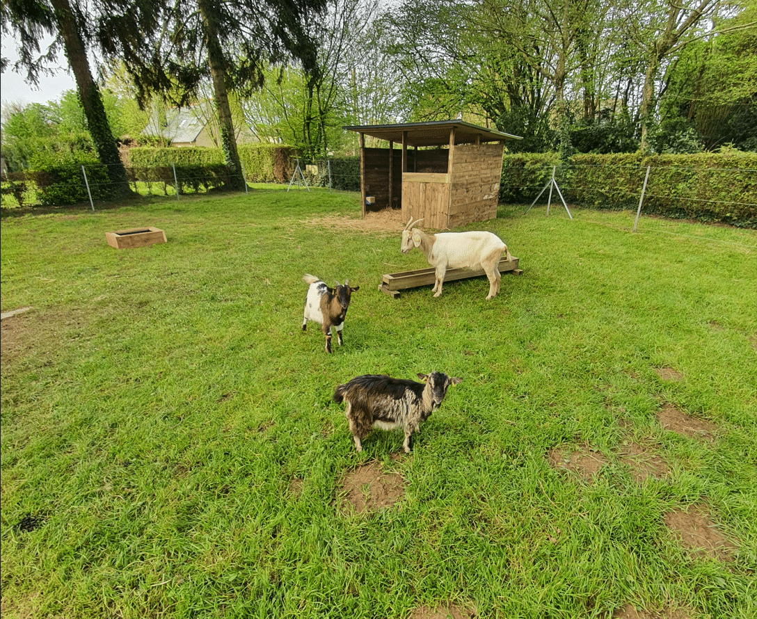 Ferme du camping au lac au duc Morbihan